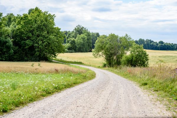 Stone Driveway Repair in Bowie