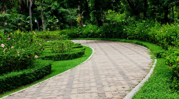 Paver Walkway Repair in Bowie