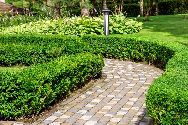 Paved Landscaping in Bowie