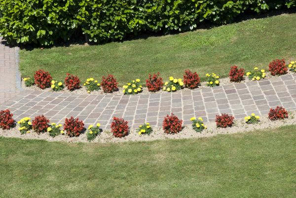Garden Paving in Bowie
