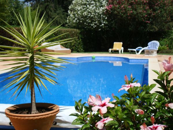 Pool Terrace Renovation in Bowie