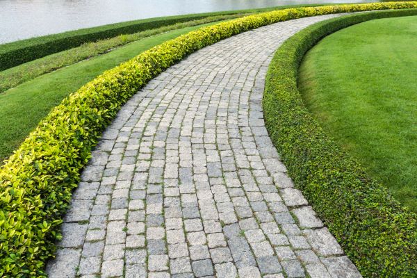 Sidewalk Pavers Installation in Bowie