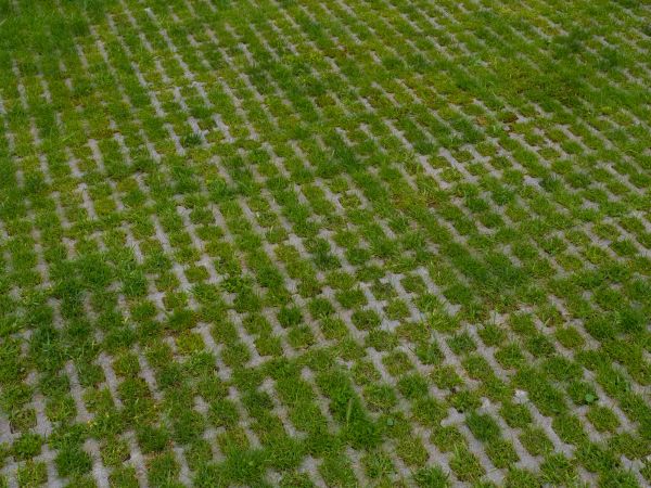 Permeable Pavement Service in Bowie